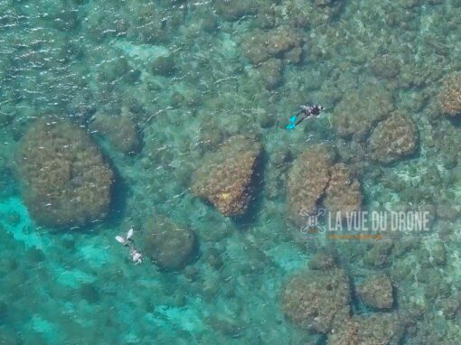 La Vue du Drone, Pêche aux oursins