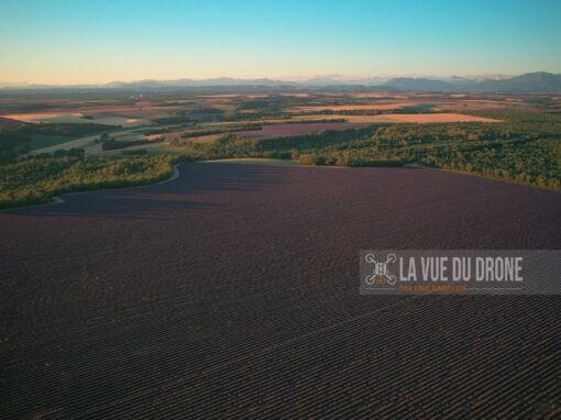 La Vue du Drone, Valensole