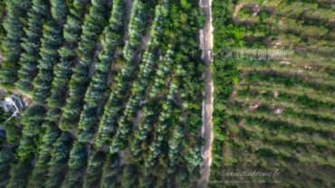 Le Mont Ventoux, l'ascension versant sud, depuis Bédoin